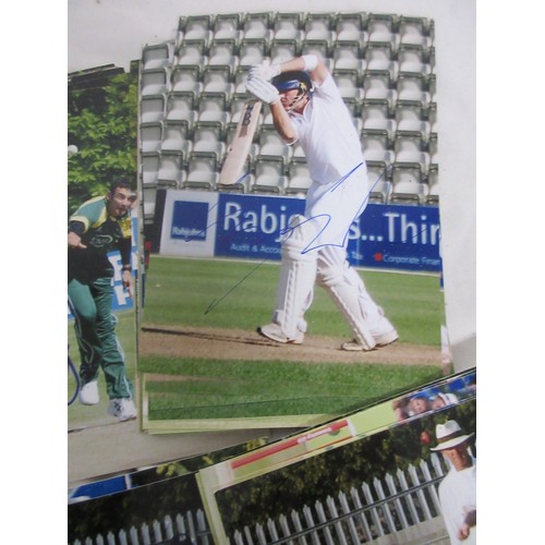 13 - A large box containing a quantity of signed photographs of cricketers