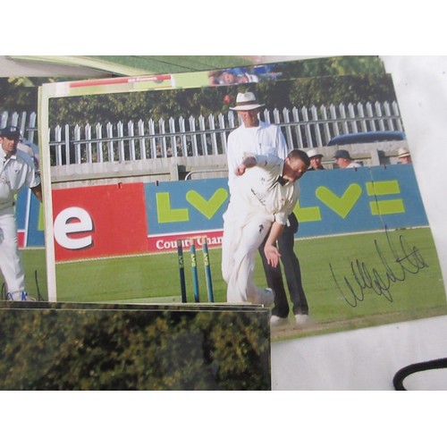 13 - A large box containing a quantity of signed photographs of cricketers