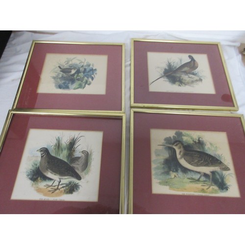 139 - 7 framed and glazed studies of birds, coloured, removed from books