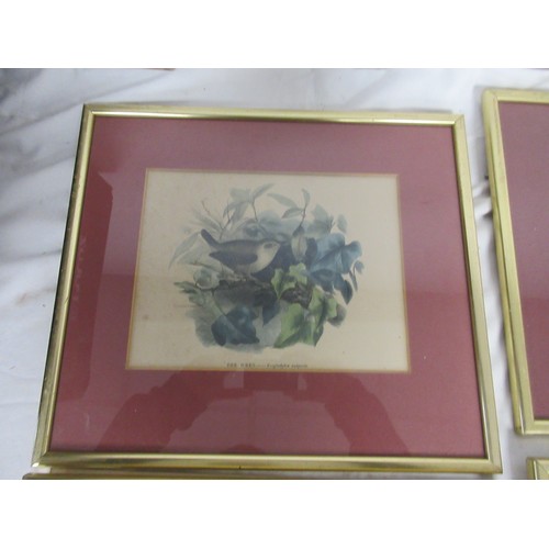 139 - 7 framed and glazed studies of birds, coloured, removed from books