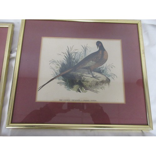 139 - 7 framed and glazed studies of birds, coloured, removed from books