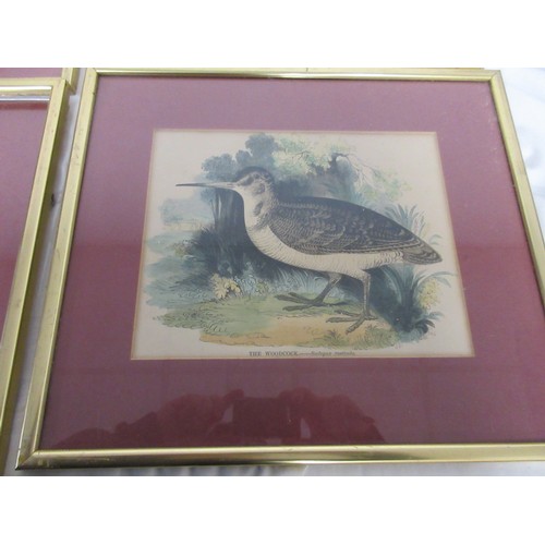 139 - 7 framed and glazed studies of birds, coloured, removed from books