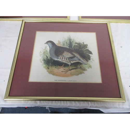 139 - 7 framed and glazed studies of birds, coloured, removed from books