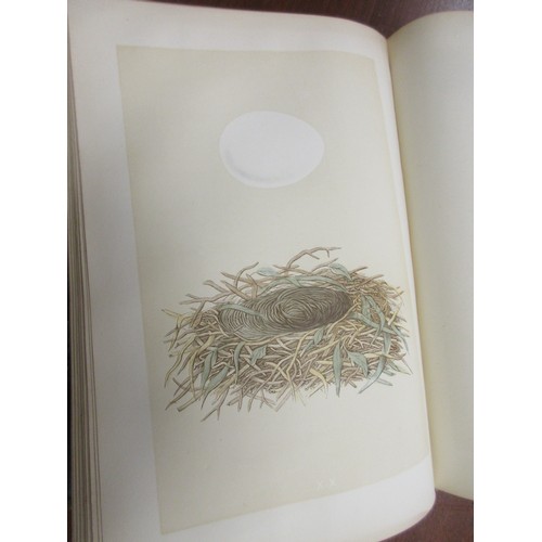 47 - A Natural History of the Nests & Eggs of British Birds, 2nd Edition, Volume I only, Morris, the Rev ... 