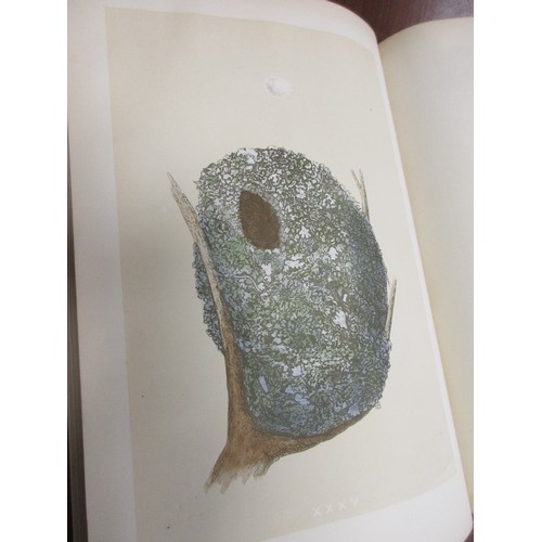 47 - A Natural History of the Nests & Eggs of British Birds, 2nd Edition, Volume I only, Morris, the Rev ... 