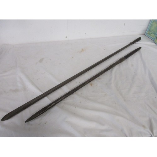 168 - An antique African double-ended lion spear, the ends of steel, the central shaft of hardwood, total ... 
