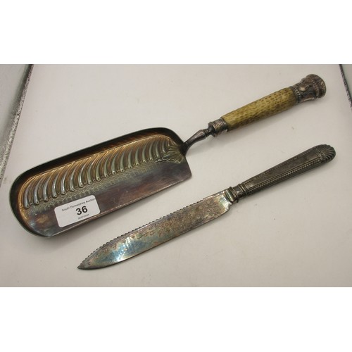 Lot 36        