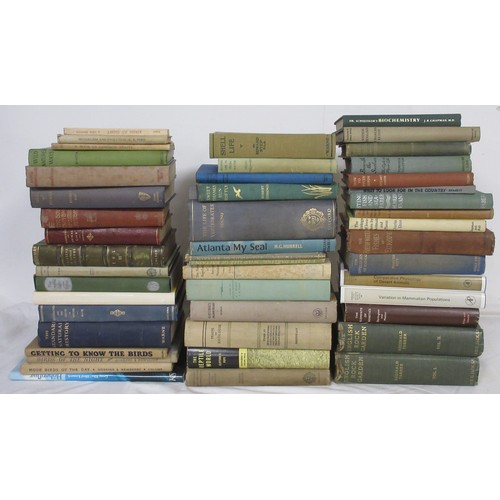 Lot 21        