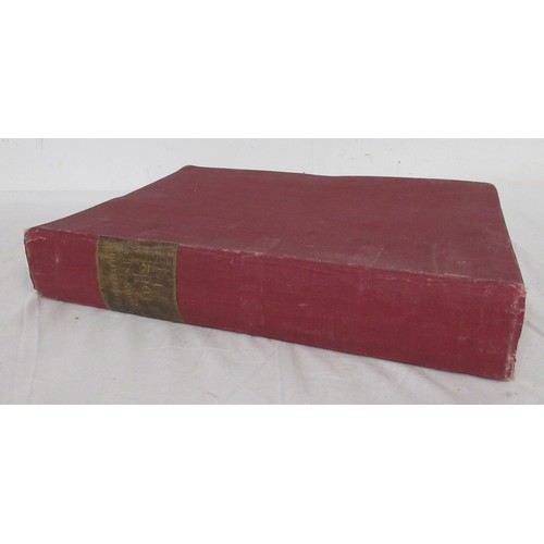 Lot 41        