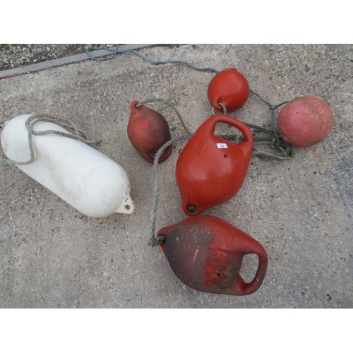 Lot 24        