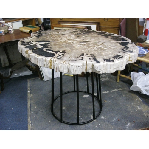 1 - An imposing table made from a slice of fossilised or petrified tree, roughly 4' x 3'  and approx 4
