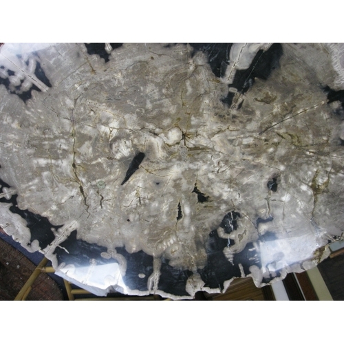 1 - An imposing table made from a slice of fossilised or petrified tree, roughly 4' x 3'  and approx 4
