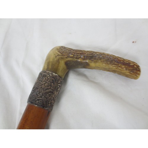 Lot 26        