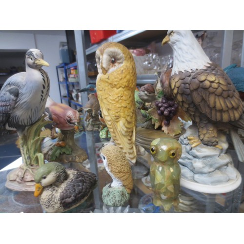 33 - A whole Aviary of ceramic birds to include Beswick and others all as per pictures .All are in very g... 