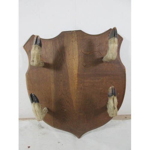 Lot 71        