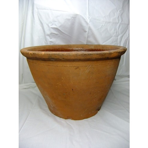 Lot 26        
