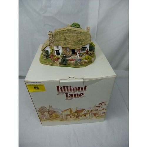 Lot 56        