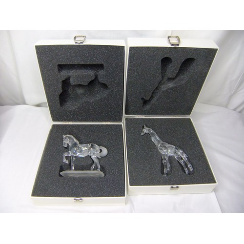 Lot 59        