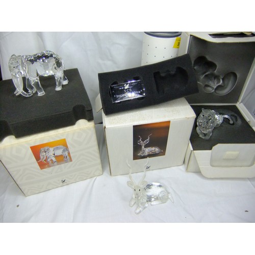 Lot 36        
