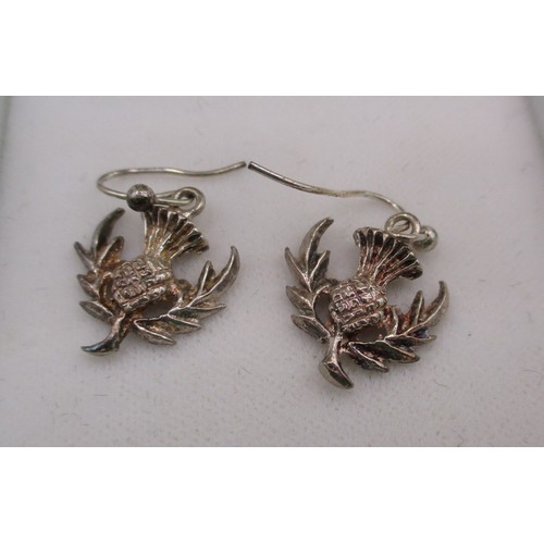 A sterling silver chain with glass pendant featuring a painted thistle ...