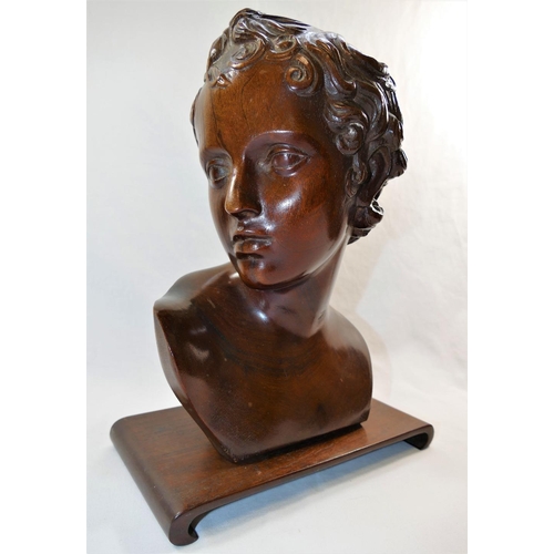 51 - A 19th Century carved mahogany bust of a young man in the classical manner, 30cm high, on mahogany s... 