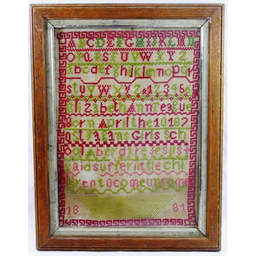 39 - A large 19th century sampler by Anne Evans, aged 15 years, dated 1856, the decoration including flow... 