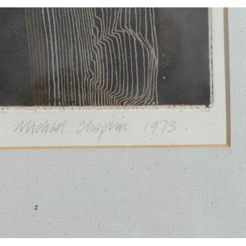 328 - Michael Chaplin RWS RE (20th/21st Century British)+ 'Hundred Ton Crane'  Coloured etching Signed, da... 