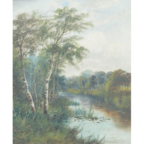 99 - George Sinclaire (19th century British), river scene with silver birch trees to the fore, oil on can... 