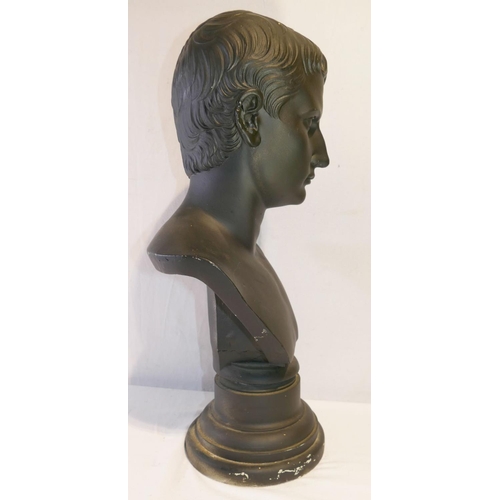 175 - A black painted plaster bust of a young Ceasar Augustus, on circular socle, 59cm high