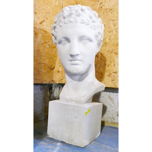 178 - A large concrete bust of a Classical head, on square base, 59cm high