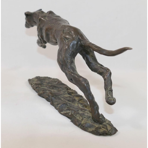 199 - A bronze model of a running greyhound, signed to base and numbered 2/36, 28cm long x 14cm high