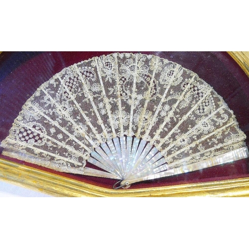 316 - A 19th century mother of pearl and lace fan, housed in lined and glazed gilt framed case with floral... 