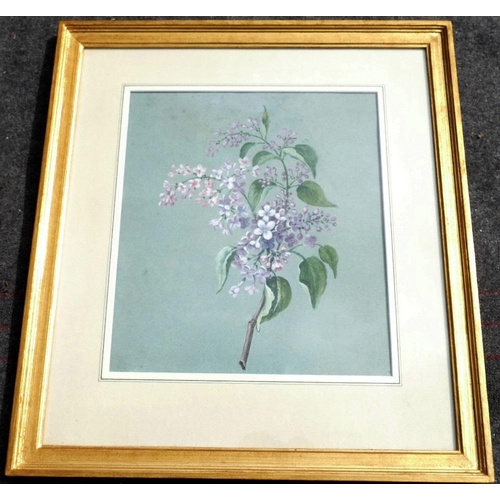 364 - Early 20th century British, 'Almond Tree', watercolour, numbered 356, titled and dated 'April 1912, ... 