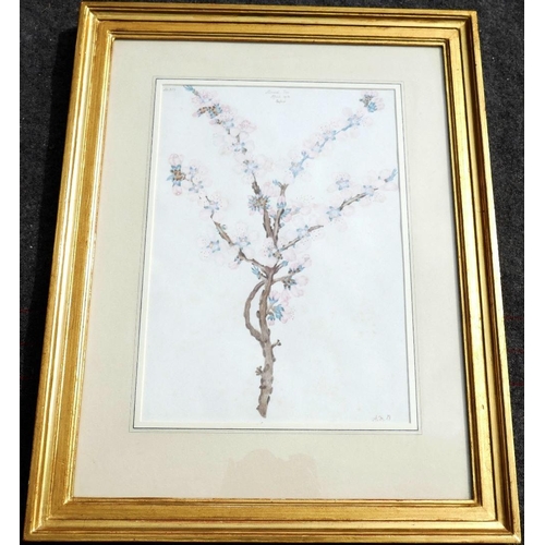 364 - Early 20th century British, 'Almond Tree', watercolour, numbered 356, titled and dated 'April 1912, ... 