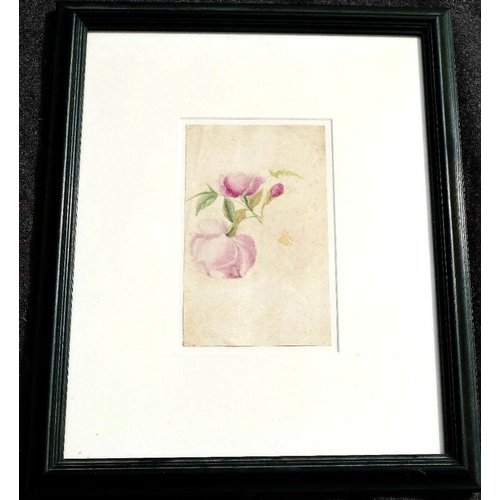 364 - Early 20th century British, 'Almond Tree', watercolour, numbered 356, titled and dated 'April 1912, ... 