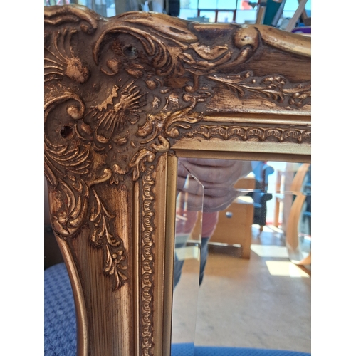 10 - Ornate gold gilt framed mirror