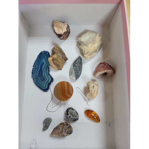 Lot 104       