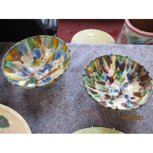 202 - Assorted pottery dishes together with a figure of the Madonna and child