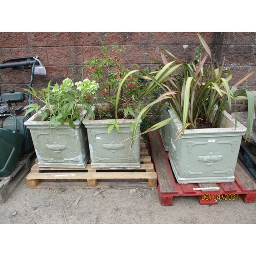 38 - A set of four reconstituted stone square planters with classical decoration each containing various ... 