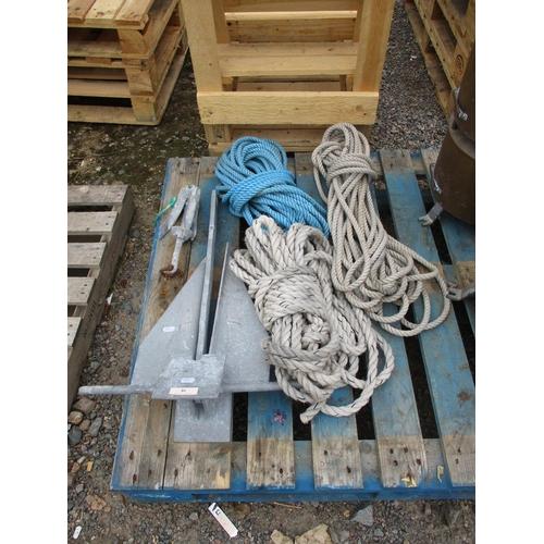 Lot 46        