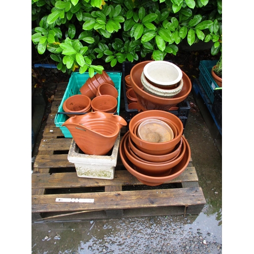 50 - An accumulation of terracotta and other flower pots