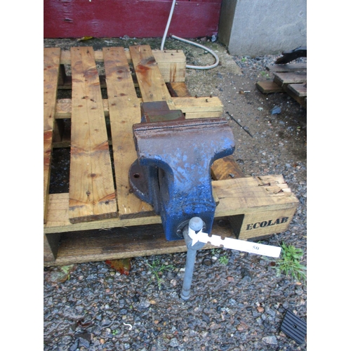 Lot 50        
