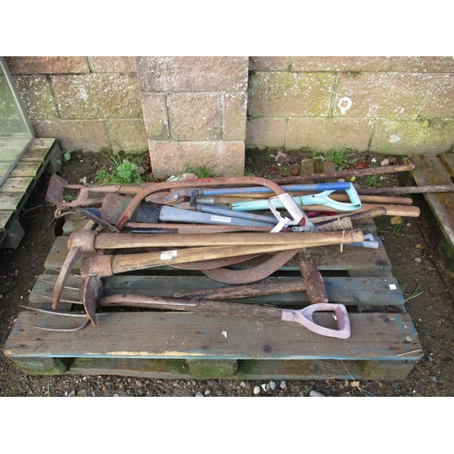 31 - A quantity of garden hand tools