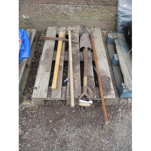 43 - A quantity of gardening tools