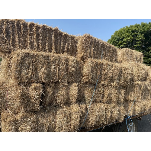 16 - 100 bales of freshly baled hay (sample of forty-five bales displayed) - local delivery included