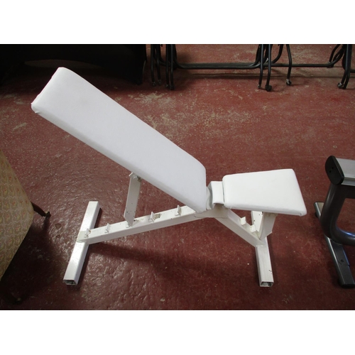 229 - An adjustable weight lifting bench