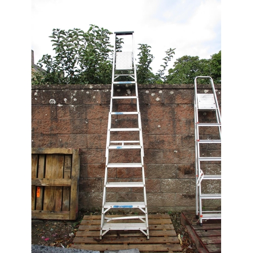 39 - A ten tread step ladder