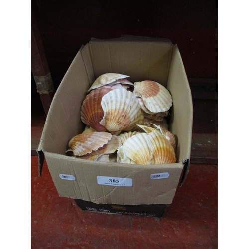 385 - A quantity of Scallop shells