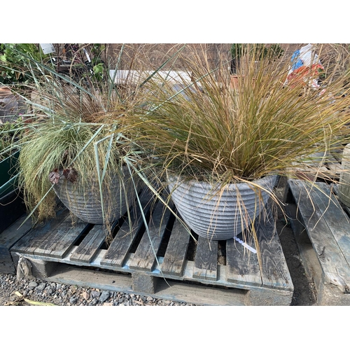 80 - A pair of simulated granite circular tapered planters containing grasses