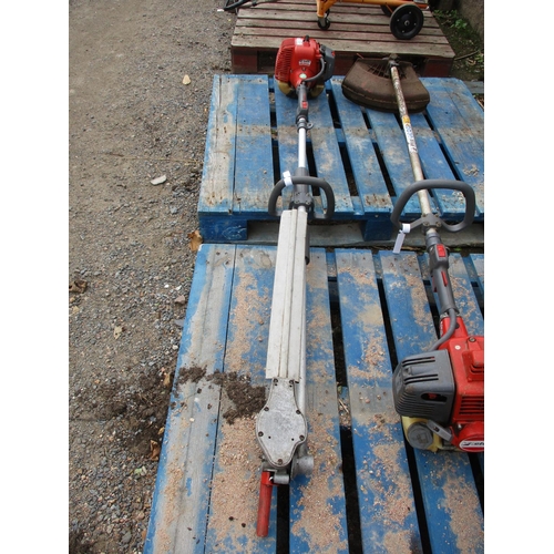 44 - An Efco DS2800H petrol pole hedge cutter